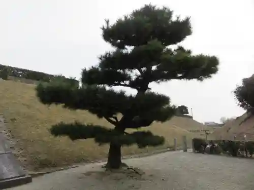 崇神天皇　山邊道勾岡上陵の自然