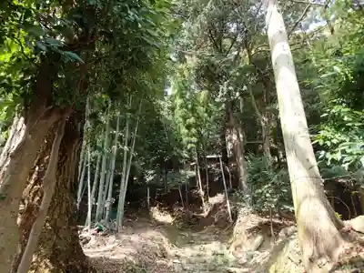 和多都美御子神社の周辺