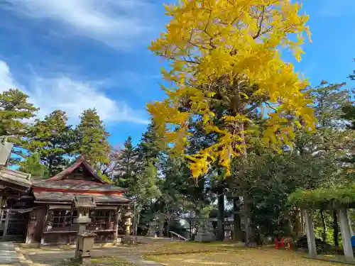 平濱八幡宮のその他建物