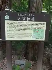 大宮神社(栃木県)