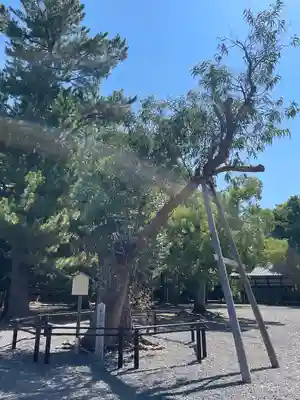 氣比神宮(福井県)