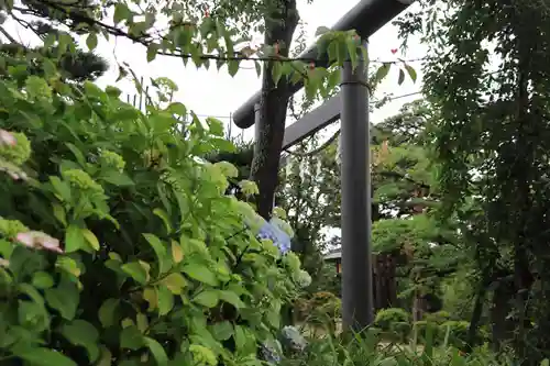 開成山大神宮の鳥居