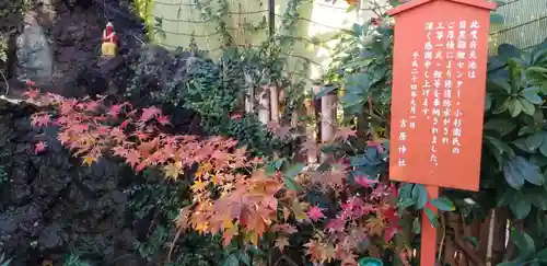 吉原弁財天本宮（吉原神社奥宮）の景色