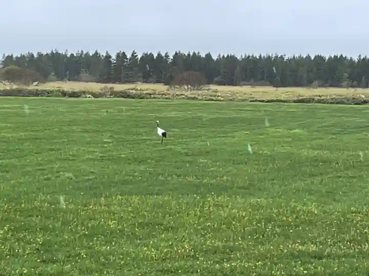 浜頓別神社(北海道)