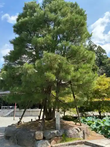 知恩院(京都府)