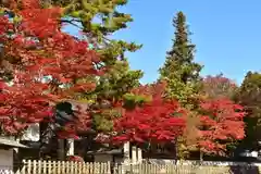 高野山金剛峯寺(和歌山県)