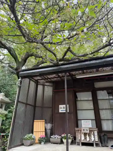 大綱金刀比羅神社の{uncategorized: "未分類", other: "その他", undefined: "問題あり", building: "その他建物", grave: "お墓", sacred_gate: "鳥居", guardian: "狛犬", statue: "像", buddha: "仏像", history: "歴史", nature: "自然", garden: "庭園", animal: "動物", pagoda: "塔", temizu: "手水舎", mountain_gate: "山門・神門", sanctuary: "本殿・本堂", subordinate: "末社・摂社", art: "芸術", scenery: "景色", jizo: "地蔵", ema: "絵馬", goshuin: "御朱印", omikuji: "おみくじ", items: "授与品その他", amulet: "お守り", goshuincho: "御朱印帳", eats: "食事", festival: "お祭り", votive_dance: "神楽", shichigosan: "七五三参", wedding: "結婚式", experience: "体験その他", initially: "初詣", around: "周辺", anti_infection: "感染症対策"}