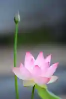 浄土寺(兵庫県)