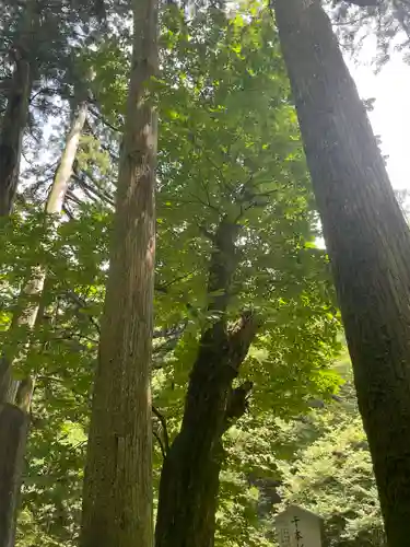 榛名神社(群馬県)