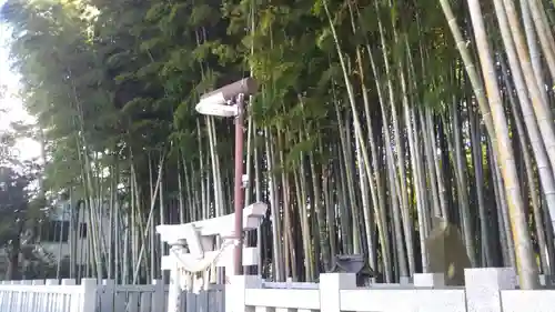 不知森神社の鳥居