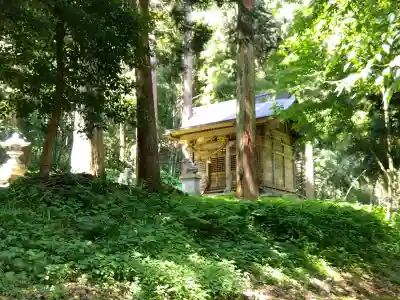 白山神社（徳永神社）の{uncategorized: "未分類", other: "その他", undefined: "問題あり", building: "その他建物", grave: "お墓", sacred_gate: "鳥居", guardian: "狛犬", statue: "像", buddha: "仏像", history: "歴史", nature: "自然", garden: "庭園", animal: "動物", pagoda: "塔", temizu: "手水舎", mountain_gate: "山門・神門", sanctuary: "本殿・本堂", subordinate: "末社・摂社", art: "芸術", scenery: "景色", jizo: "地蔵", ema: "絵馬", goshuin: "御朱印", omikuji: "おみくじ", items: "授与品その他", amulet: "お守り", goshuincho: "御朱印帳", eats: "食事", festival: "お祭り", votive_dance: "神楽", shichigosan: "七五三参", wedding: "結婚式", experience: "体験その他", initially: "初詣", around: "周辺", anti_infection: "感染症対策"}