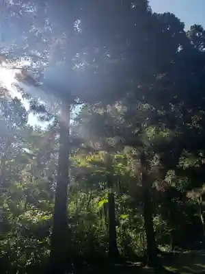 武蔵陵墓地の自然