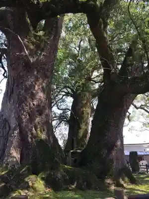 善導寺(福岡県)