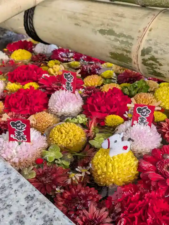 富岡八幡宮(東京都)