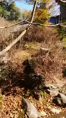 玉野御嶽神社の狛犬