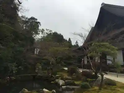 知恩院の本殿・本堂