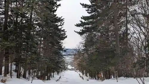 上川神社の景色