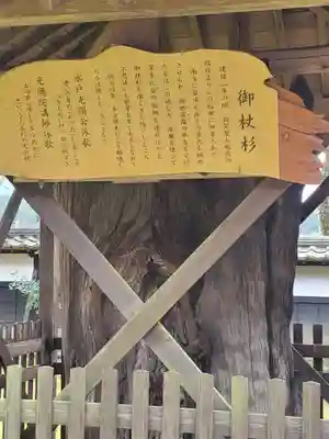 西念寺の歴史