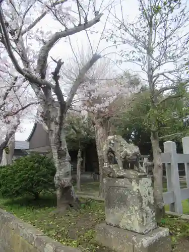 須賀神社の狛犬