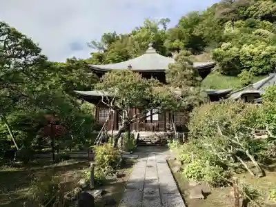 瑞泉寺の{uncategorized: "未分類", other: "その他", undefined: "問題あり", building: "その他建物", grave: "お墓", sacred_gate: "鳥居", guardian: "狛犬", statue: "像", buddha: "仏像", history: "歴史", nature: "自然", garden: "庭園", animal: "動物", pagoda: "塔", temizu: "手水舎", mountain_gate: "山門・神門", sanctuary: "本殿・本堂", subordinate: "末社・摂社", art: "芸術", scenery: "景色", jizo: "地蔵", ema: "絵馬", goshuin: "御朱印", omikuji: "おみくじ", items: "授与品その他", amulet: "お守り", goshuincho: "御朱印帳", eats: "食事", festival: "お祭り", votive_dance: "神楽", shichigosan: "七五三参", wedding: "結婚式", experience: "体験その他", initially: "初詣", around: "周辺", anti_infection: "感染症対策"}