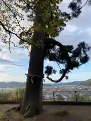 有子山稲荷神社(兵庫県)