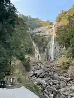 熊野那智大社の自然