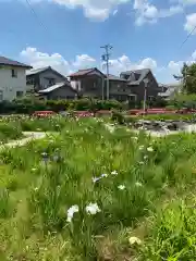 知立神社の自然