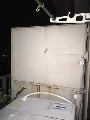 増上寺(東京都)