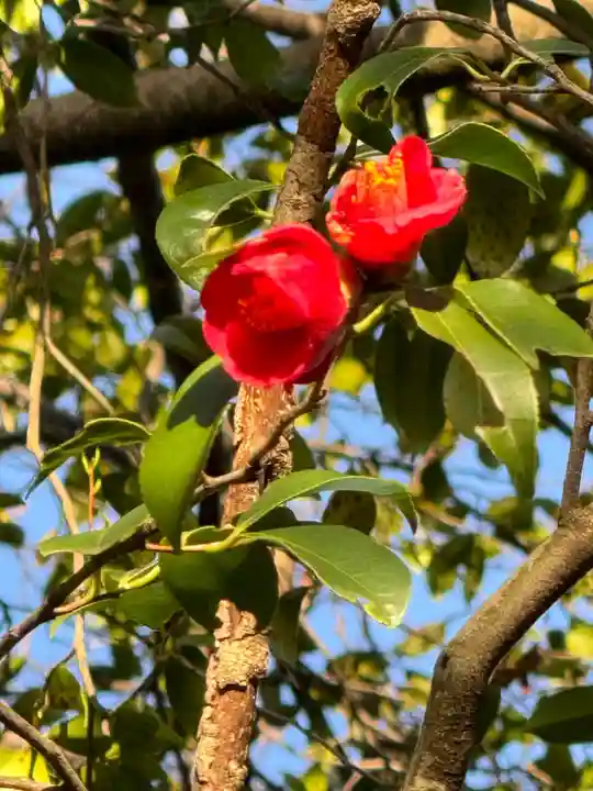 越木岩神社(兵庫県)