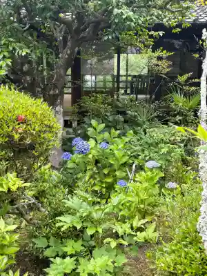 聖林寺(奈良県)