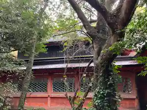 枚聞神社の本殿・本堂