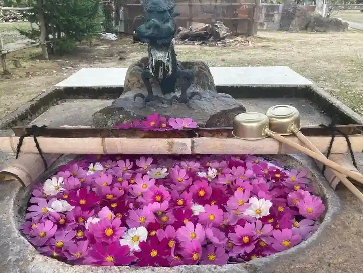 光明院 薬師堂の手水舎