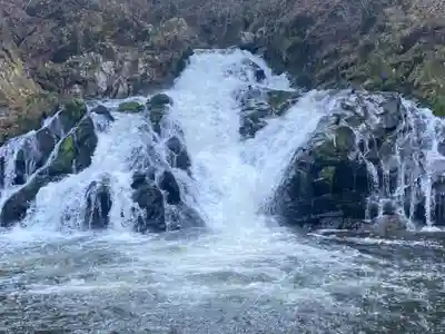 白瀧神社の自然