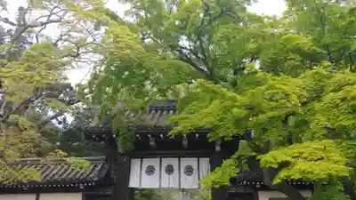 今宮神社の山門・神門