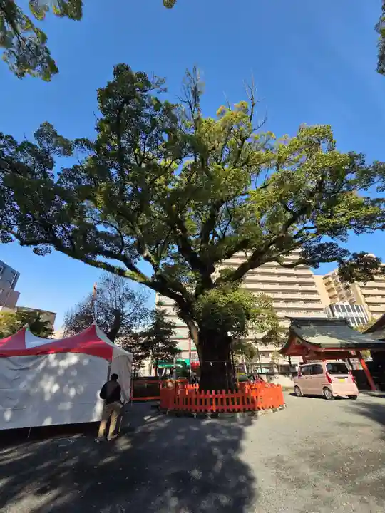 荒田八幡宮(鹿児島県)