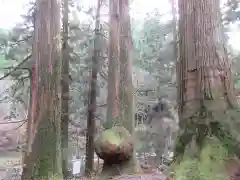 花園神社の自然