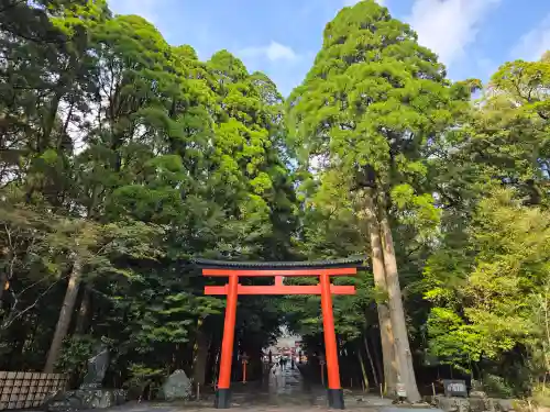 霧島神宮(鹿児島県)