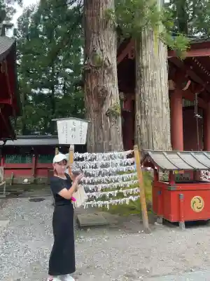 日光二荒山神社(栃木県)
