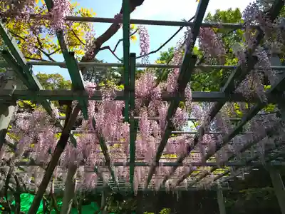 阿智神社(岡山県)