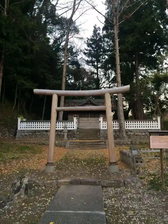 藤崎神社の鳥居