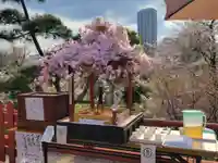 清水観音堂(東京都)