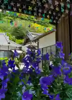 普門寺(切り絵御朱印発祥の寺)のその他建物