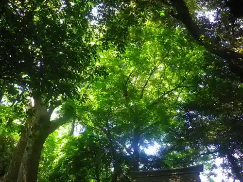 浅間神社の自然