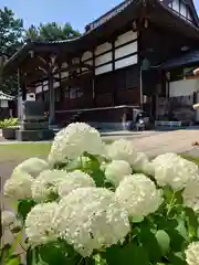 極楽寺(群馬県)