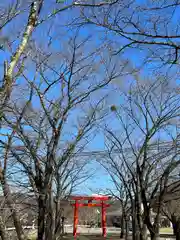 子檀嶺神社(長野県)