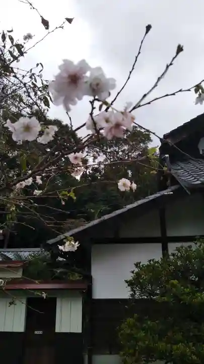 光恩寺の本殿・本堂