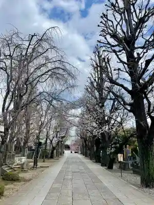茗荷稲荷神社の{uncategorized: "未分類", other: "その他", undefined: "問題あり", building: "その他建物", grave: "お墓", sacred_gate: "鳥居", guardian: "狛犬", statue: "像", buddha: "仏像", history: "歴史", nature: "自然", garden: "庭園", animal: "動物", pagoda: "塔", temizu: "手水舎", mountain_gate: "山門・神門", sanctuary: "本殿・本堂", subordinate: "末社・摂社", art: "芸術", scenery: "景色", jizo: "地蔵", ema: "絵馬", goshuin: "御朱印", omikuji: "おみくじ", items: "授与品その他", amulet: "お守り", goshuincho: "御朱印帳", eats: "食事", festival: "お祭り", votive_dance: "神楽", shichigosan: "七五三参", wedding: "結婚式", experience: "体験その他", initially: "初詣", around: "周辺", anti_infection: "感染症対策"}