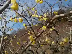 筑波山神社(茨城県)