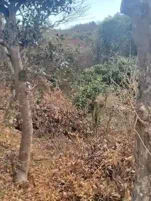 子の権現(栃木県)