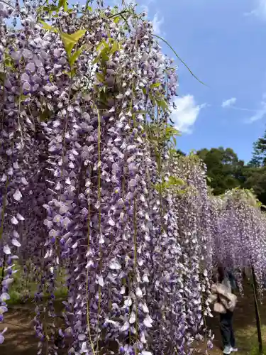 天台宗 五大山 白毫寺(兵庫県)